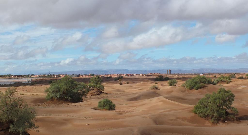 Auberge Tigida M'Hamid Esterno foto