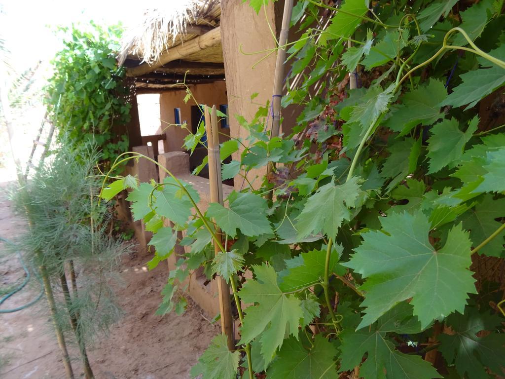Auberge Tigida M'Hamid Esterno foto